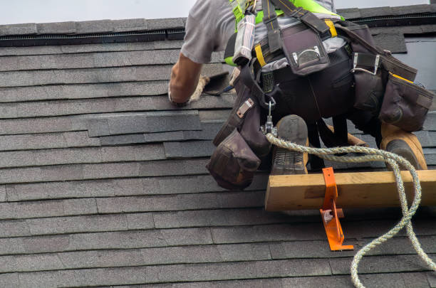 Roof Gutter Cleaning in Perry, KS